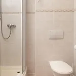 Aneta