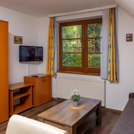 Aneta Apartamento *