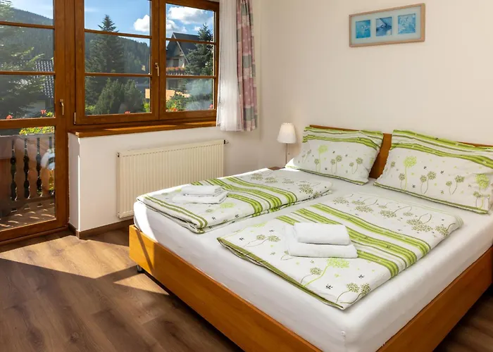 Appartement Aneta *