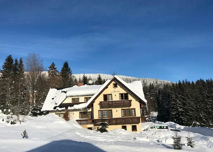 Appartement Aneta *